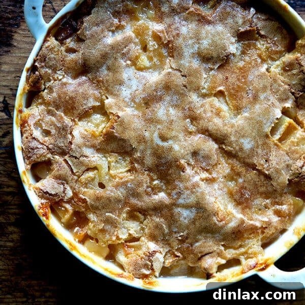 Apple cobbler with hot sugar crust.