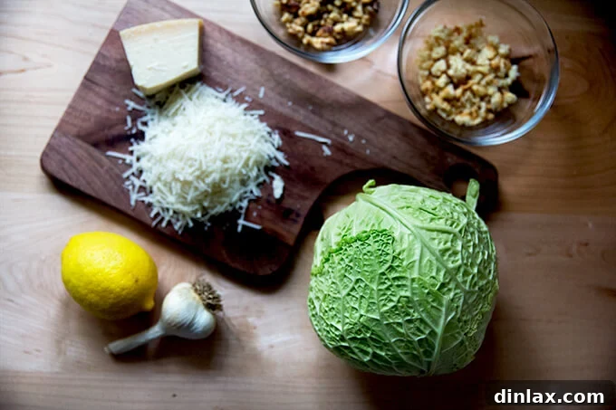 A collection of fresh ingredients laid out on a kitchen counter, including grated Parmesan cheese, a whole head of cabbage, a vibrant lemon, cloves of garlic, dried bread crumbs, and toasted walnuts, all ready for the roasted cabbage recipe.