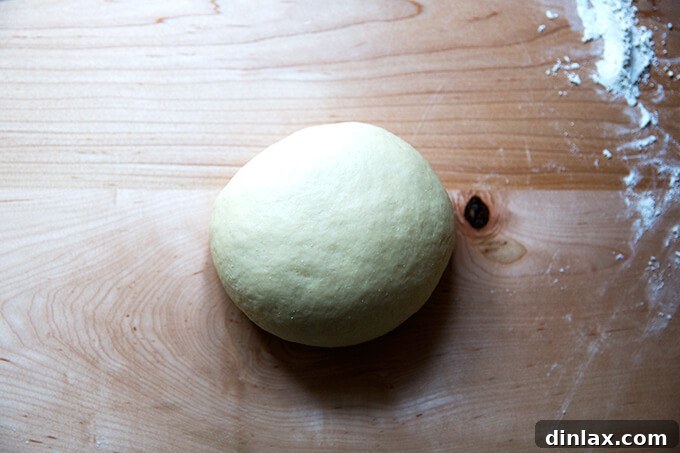 Chinese Steamed Scallion Twists 6 A perfectly kneaded, smooth and elastic ball of dough.