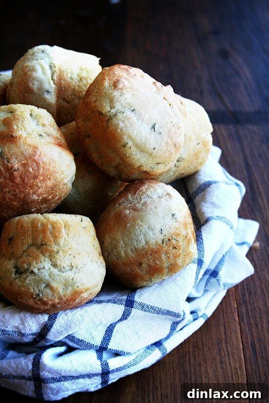 No-Knead Thyme Dinner Rolls