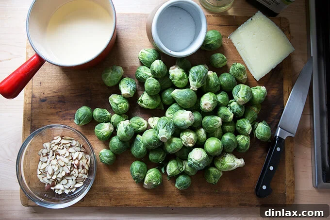 A cutting board with Brussels sprouts, almonds, salt, manchego, and vinegar, ready for preparation.