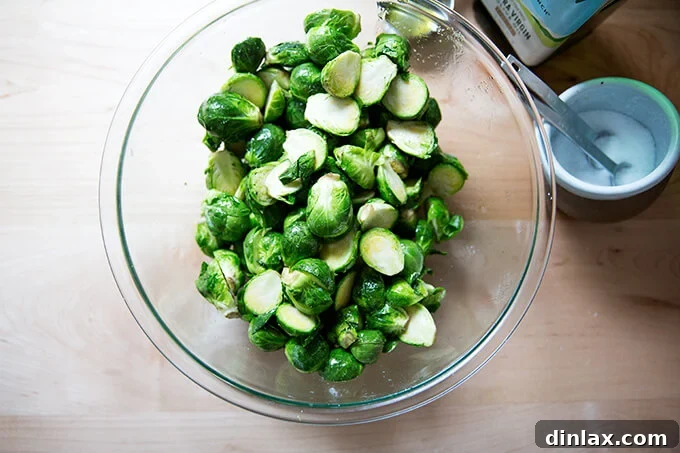 A bowl of Brussels sprouts expertly tossed with olive oil and salt, ready for roasting.