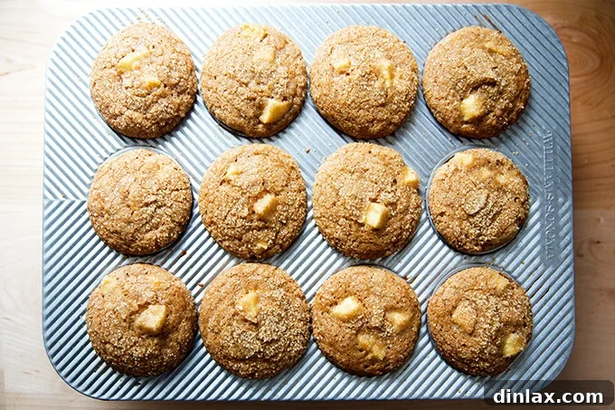 Harvest Apple Muffins 9 Freshly baked Apple Orchard Muffins, golden brown with a beautiful turbinado sugar crust, cooling slightly in the pan.