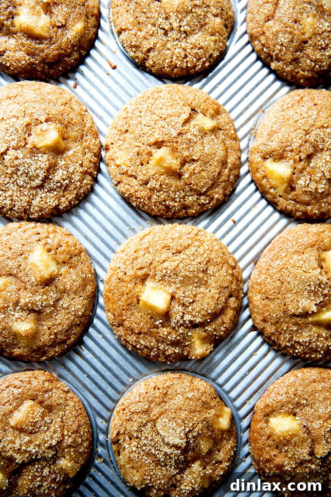 Harvest Apple Muffins 10 A close-up shot of a single Apple Orchard Muffin, showcasing its soft interior, apple chunks, and the crunchy sugar crust.