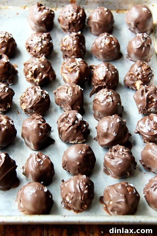 Classic Chocolate-Covered Peanut Butter Balls