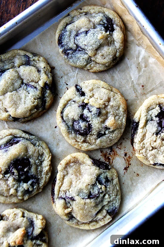 Santa's Favorite Soft and Chewy Chocolate Chip Cookies