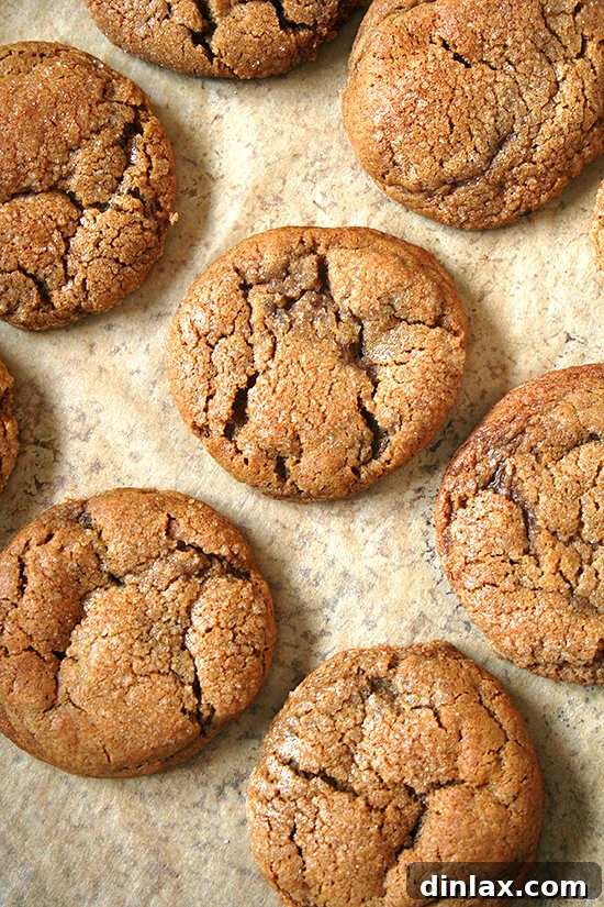 Kristina's Chewy Molasses Crinkles with Sugar Crust