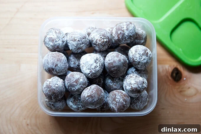 Quick and Boozy Holiday Rum Ball Delight 13 A Tupperware container filled with rum balls, securely closed and ready to be frozen or refrigerated.
