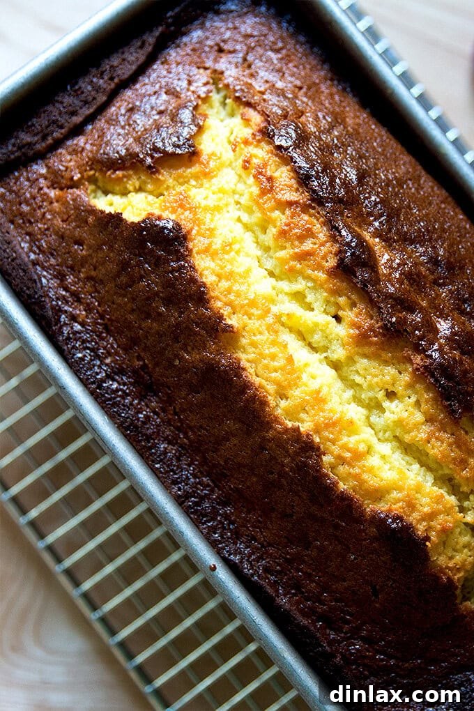 Just-baked, golden-brown orange-ricotta pound cake on a cooling rack, showcasing its moist texture and vibrant color. Perfect for holiday gatherings.