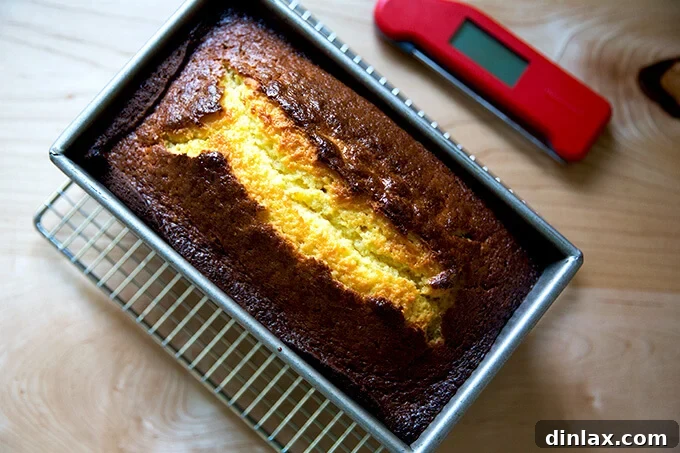 A perfectly golden-brown, just-baked orange ricotta pound cake cooling in its loaf pan, filling the kitchen with its irresistible aroma.
