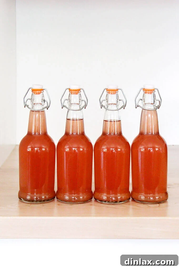 15 Savory Homemade Gifts for Every Season 22 Bottled rhubarb schnapps, a homemade fruit-infused liqueur.