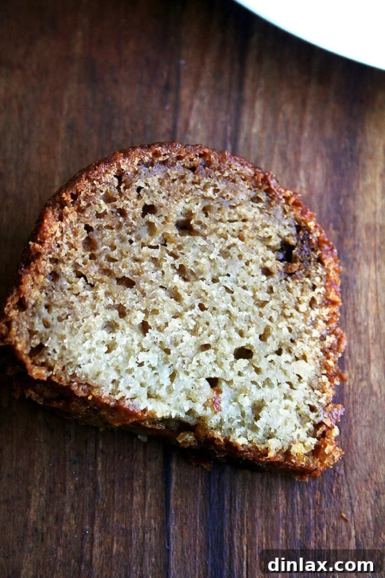 Geri's Applesauce Yogurt Cake