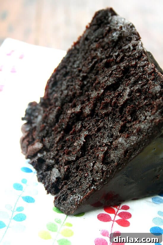 Gourmet's Double Chocolate Cake