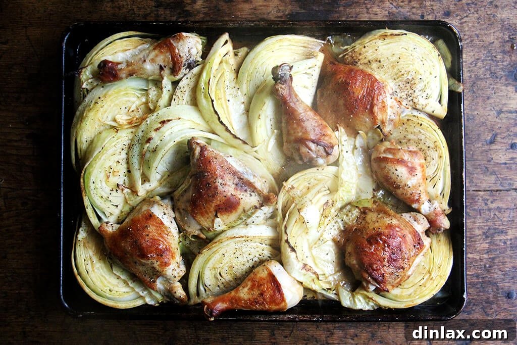 Golden Roast Chicken with Caramelized Cabbage 6 A sheet pan of partially roasted chicken legs and cabbage.