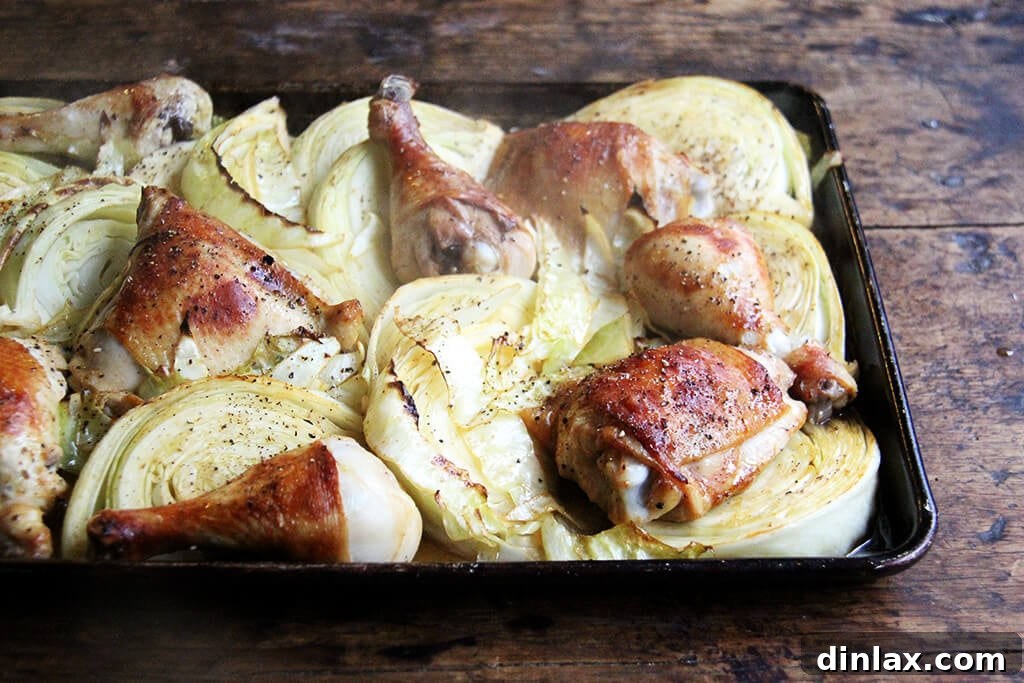 Golden Roast Chicken with Caramelized Cabbage 8 A sheet pan of roasted chicken and cabbage wedges.
