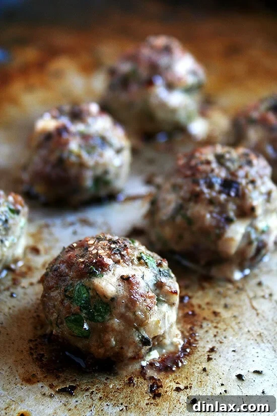 Sparkling Bites: Your Go-To Guide for New Year's Eve Appetizers 13 Irresistible Broiled Lamb Meatballs with Herbs