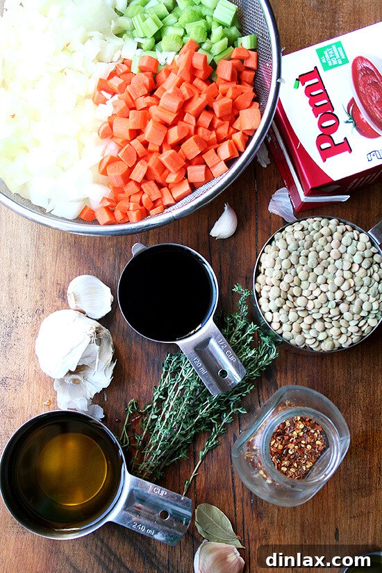 Fresh, vibrant ingredients for making delicious vegan lentil soup laid out on a surface: French green lentils, crushed tomatoes, chopped onions, minced garlic, diced carrots, diced celery, fresh thyme, and a bottle of white balsamic vinegar. alexandracooks.com