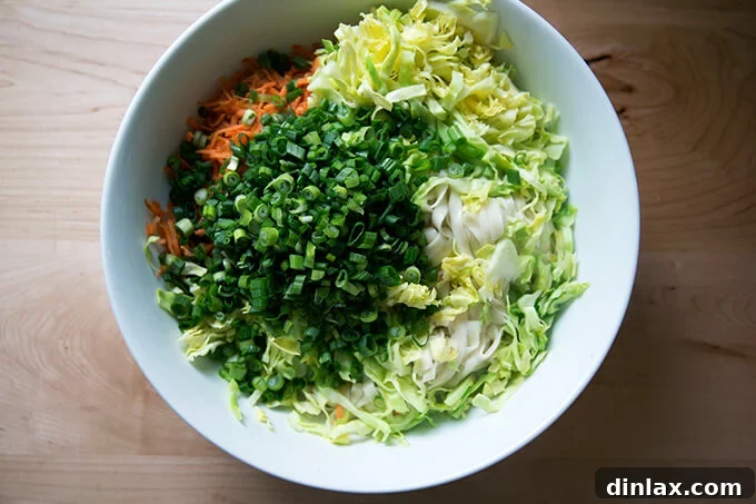 Sichuan Chili Express 12 How to make Chinese noodles with chilies, scallions, and cabbage.