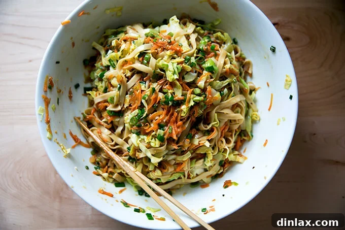 Sichuan Chili Express 14 How to make Chinese noodles with chilies, scallions, and cabbage.