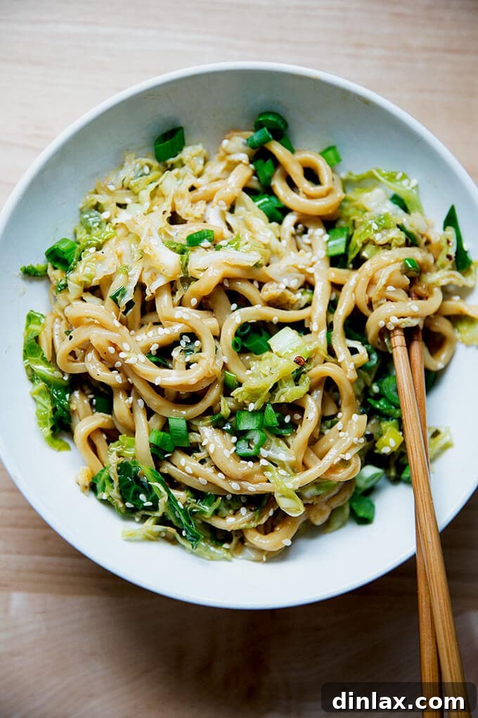 Sichuan Chili Express 16 Quick and easy Sichuan noodles with cabbage