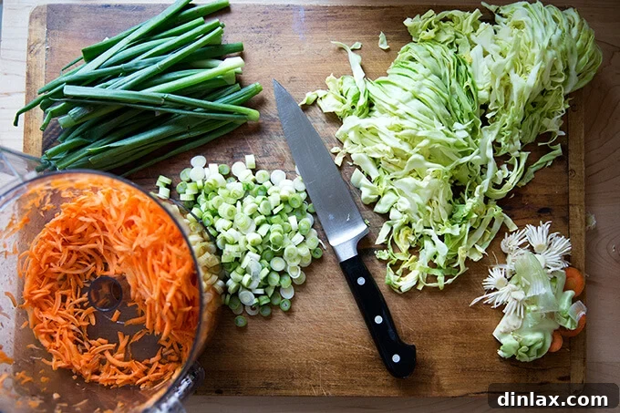 Sichuan Chili Express 5 How to make Chinese noodles with chilies, scallions, and cabbage.