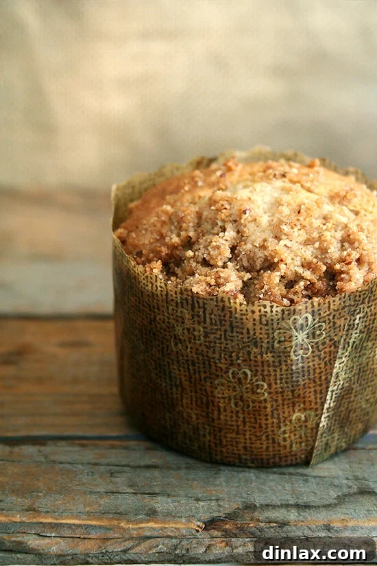 Experience the ultimate breakfast treat with these Cook's Illustrated coffeecake muffins, featuring a cinnamon-pecan-brown sugar streusel in a luscious sour cream batter. A true taste of café elegance at home. // alexandracooks.com A perfectly baked coffeecake muffin in a decorative paper liner, invitingly placed on a rustic wooden surface, ready for a delightful breakfast or brunch.