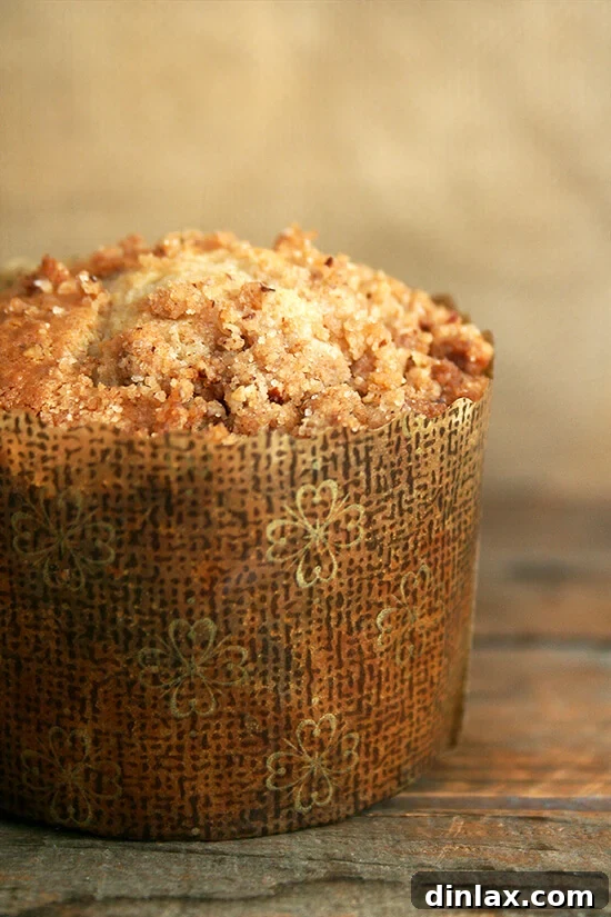 Experience the ultimate breakfast treat with these Cook's Illustrated coffeecake muffins, featuring a cinnamon-pecan-brown sugar streusel in a luscious sour cream batter. A true taste of café elegance at home. // alexandracooks.com A perfectly golden-brown coffeecake muffin, rich with streusel, set in its decorative paper liner against a softly blurred background, inviting a closer look and a delicious bite.