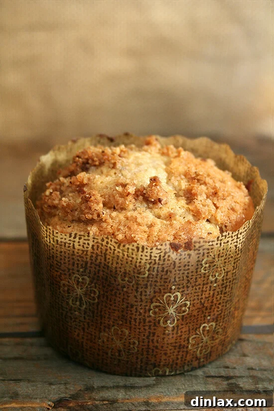 Experience the ultimate breakfast treat with these Cook's Illustrated coffeecake muffins, featuring a cinnamon-pecan-brown sugar streusel in a luscious sour cream batter. A true taste of café elegance at home. // alexandracooks.com A close-up side view of a baked coffeecake muffin, showcasing its perfectly risen dome, golden streusel topping, and the crisp edges of its decorative paper liner on a light background.