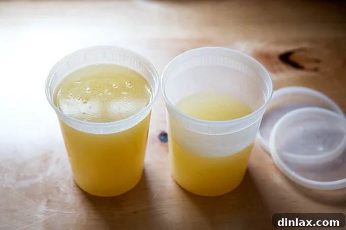 Containers of homemade chicken stock, ready for storage in the fridge or freezer.