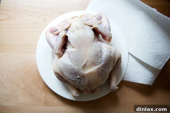 A hand patting a whole chicken very dry with paper towels.
