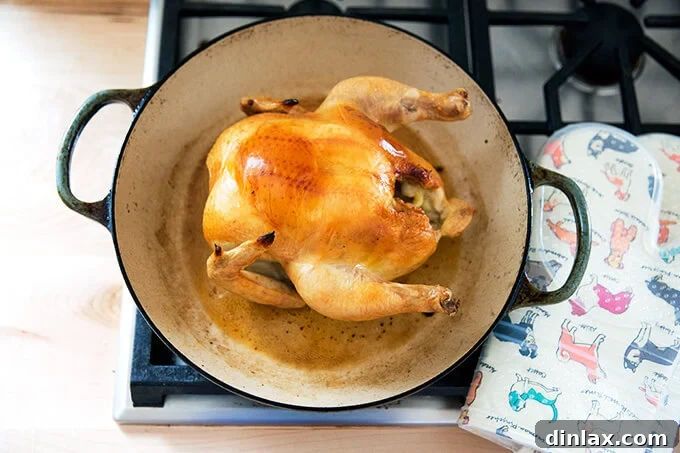 A roasted chicken in a skillet, removed from the oven after the first 25 minutes of cooking.