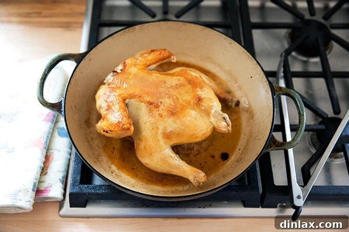 A whole chicken flipped over, roasting breast-side down in a skillet.