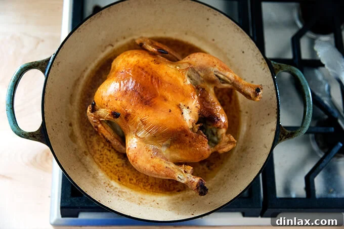 A perfectly roasted whole chicken, golden brown and crispy, resting in a skillet after cooking.