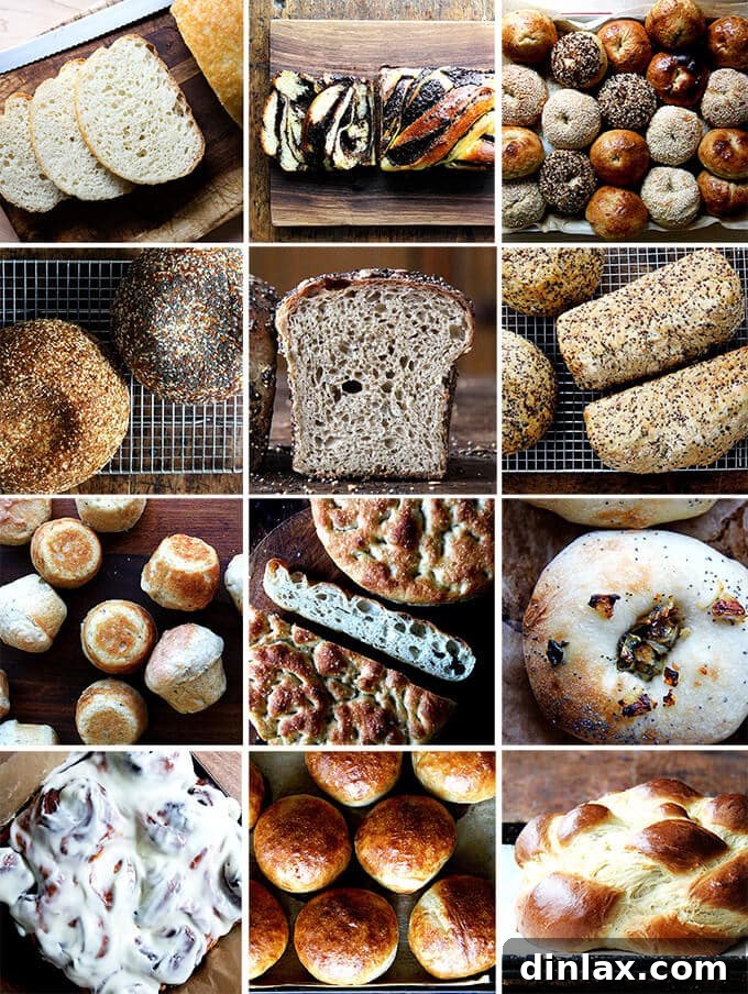 A selection of 12 beautifully baked easy bread recipes, including rustic loaves, soft rolls, and sweet treats, perfect for home bakers.