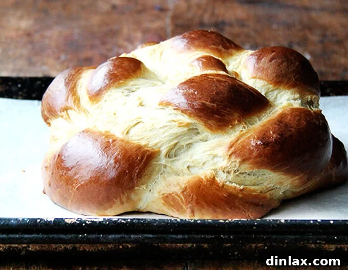 A beautifully braided golden-brown loaf of Holly's Challah, glistening with an egg wash.