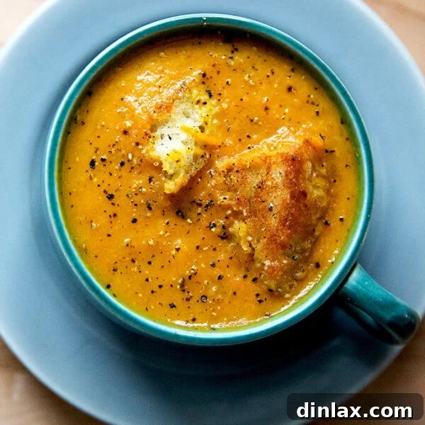 Carrot-ginger soup with curry and coconut milk, a heartwarming vegan recipe.