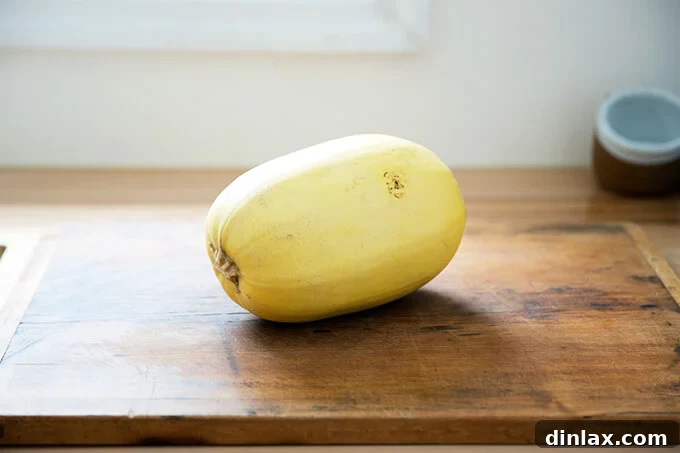 A whole, uncooked spaghetti squash, ready for preparation.