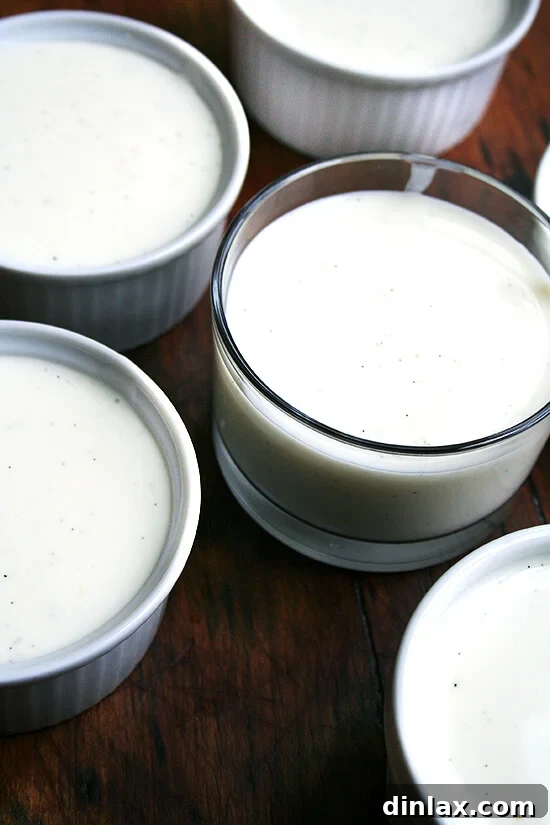 Buttermilk panna cotta in elegant ramekins, ready to be served. A simple yet sophisticated vanilla dessert.