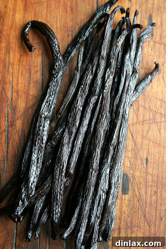 Assortment of high-quality vanilla beans, plump and fragrant, ideal for baking.