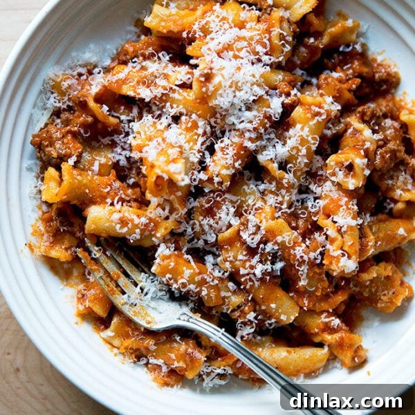Delicious One-Pan Instant Pot Pasta with Rich Meat Sauce