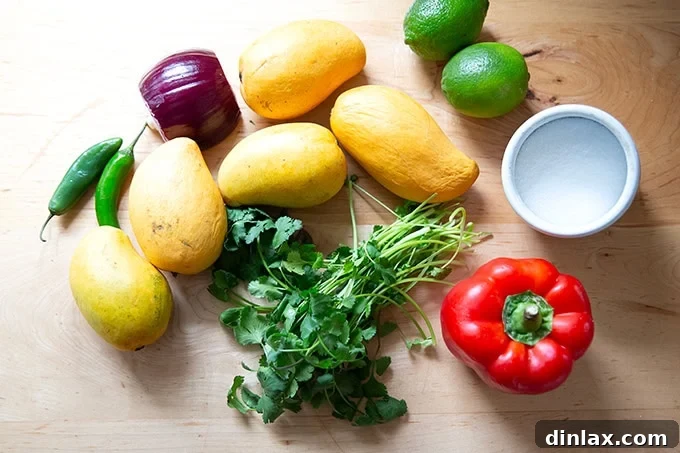 All the fresh ingredients for mango salsa – ripe mangoes, crisp red onion, spicy jalapeño, fragrant cilantro, zesty limes, sweet red bell pepper, and a pinch of salt – neatly arranged on a kitchen countertop, ready for preparation.