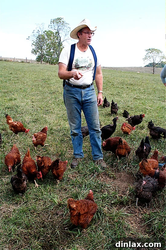 Joel Salatin, visionary farmer of Polyface Farm, amidst his chickens