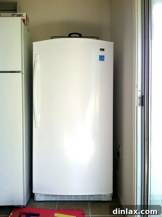 Large free standing freezer for food storage