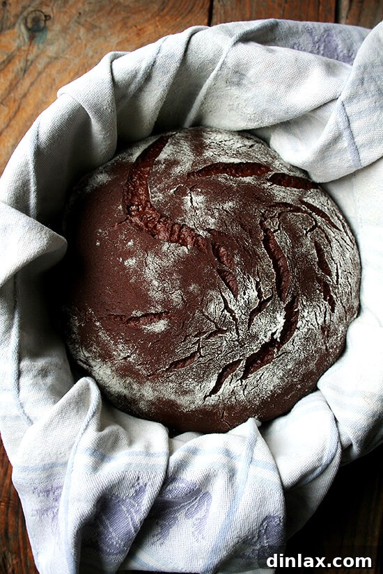 Chocolate Bread Dough Rising Unsuccessful chocolate bread dough rising, showing the initial stages of proofing before baking.