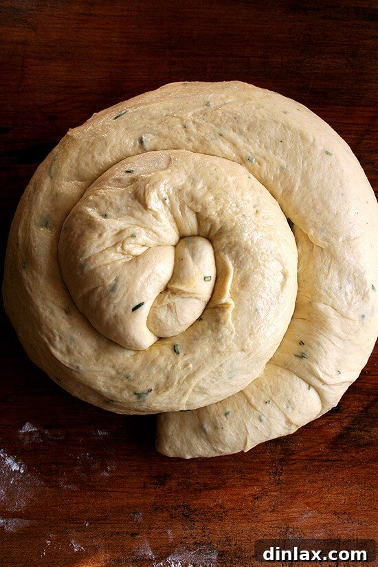 Shaping the Rosemary Semolina Loaf Hands carefully shaping the rosemary semolina bread dough into a rounded loaf, preparing it for its final proofing before baking.