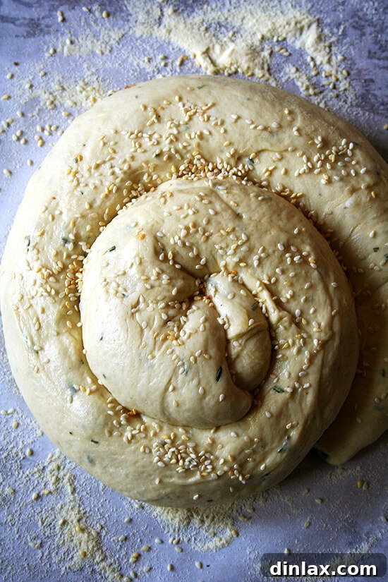 Loaf Ready for the Oven The shaped rosemary semolina loaf, perfectly proofed and ready to be transferred into a hot oven for baking, showcasing its beautiful form.