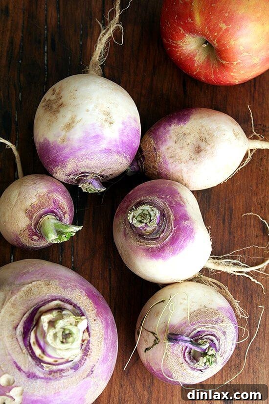 Fresh Turnips for Turnip and Apple Purée