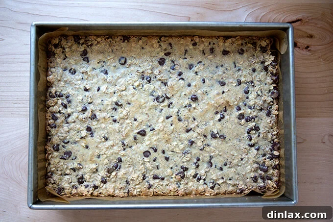 Freshly baked gooey oat bars, golden and firm