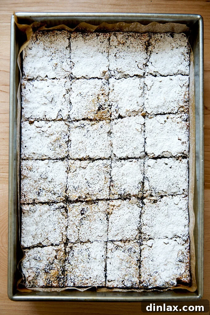 Gooey oat bars dusted with powdered sugar, ready for storage