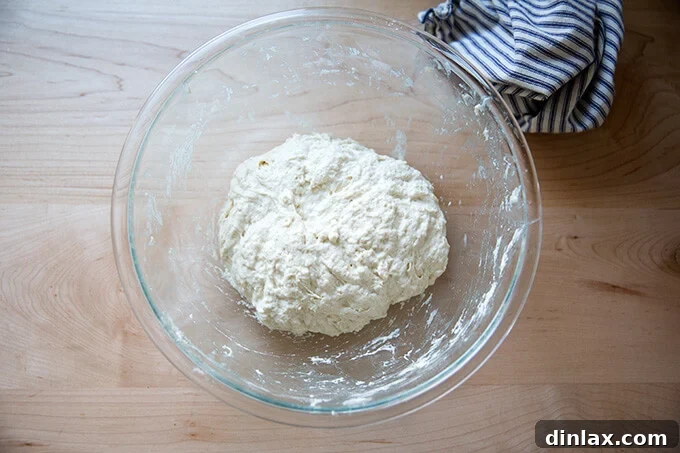 The Easiest Sourdough Focaccia: Perfect for Beginners 13 Sticky sourdough focaccia dough after mixing, ready for its first rise
